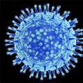 Биология вирусов. Что такое вирусы? Биология: виды и классификация вирусов Какие вирусы существуют в биологии