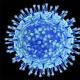 ウイルスの生物学。 ウイルスとは何ですか? 生物学：ウイルスの種類と分類 生物学にはどのようなウイルスが存在するのか