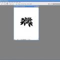 How to rotate a brush in Photoshop